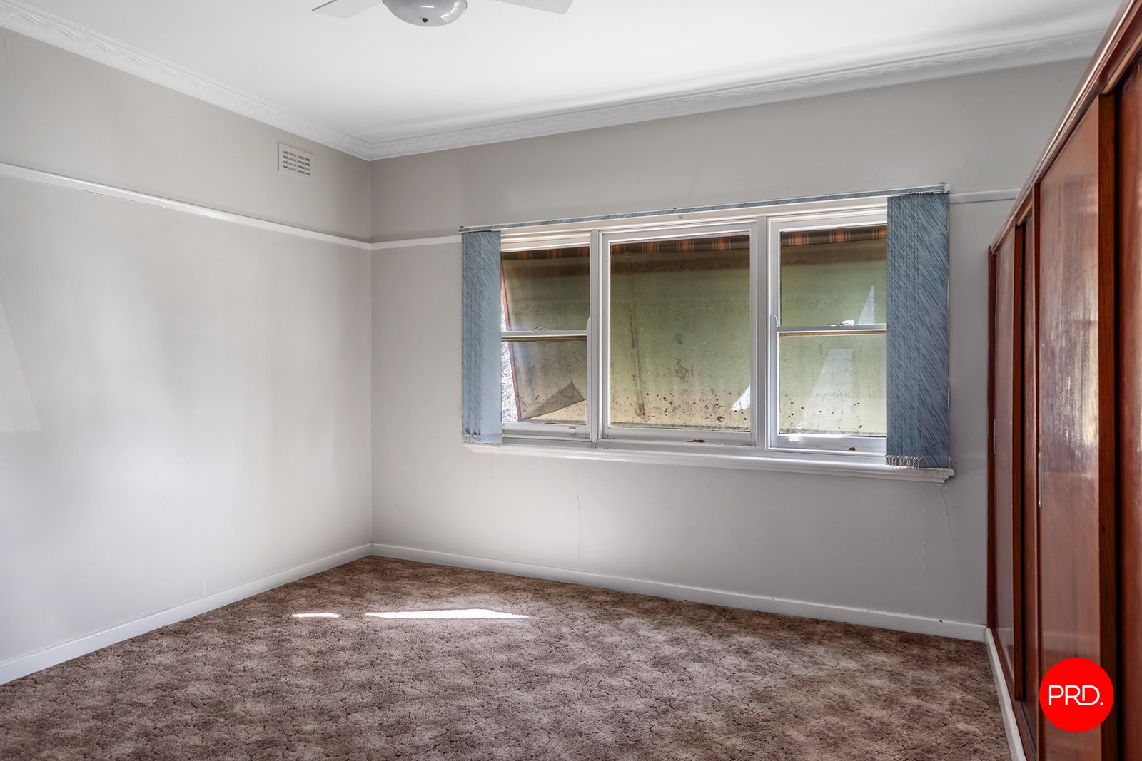 390 Napier Street WHITE HILLS 7