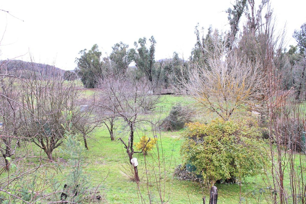 3900 Tumbarumba Road TUMBARUMBA 24