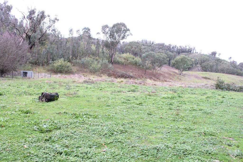 3900 Tumbarumba Road TUMBARUMBA 25