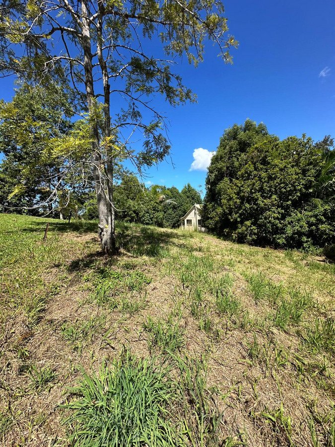 396 Tallebudgera Creek Road Tallebudgera Valley 12