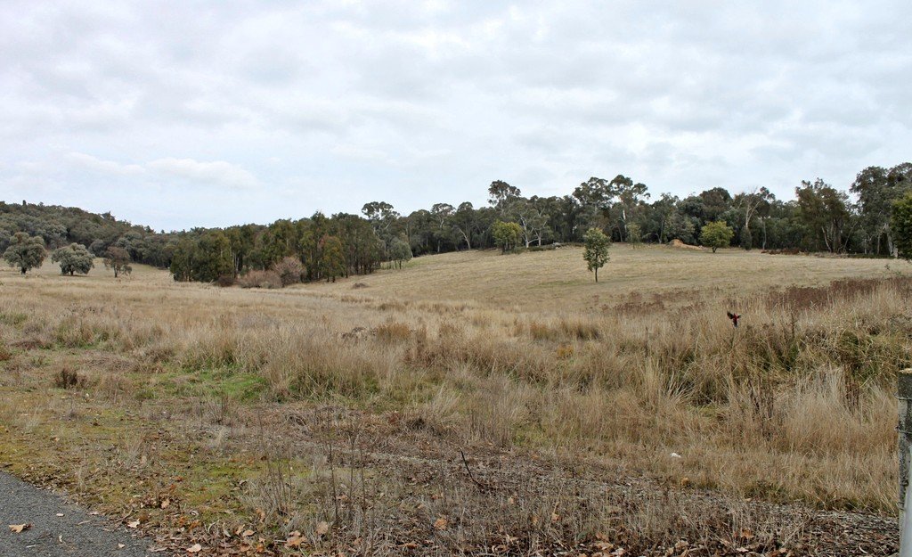 3966 Jingellic Road TUMBARUMBA 1