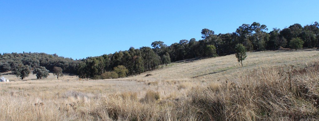3966 Jingellic Road TUMBARUMBA 3