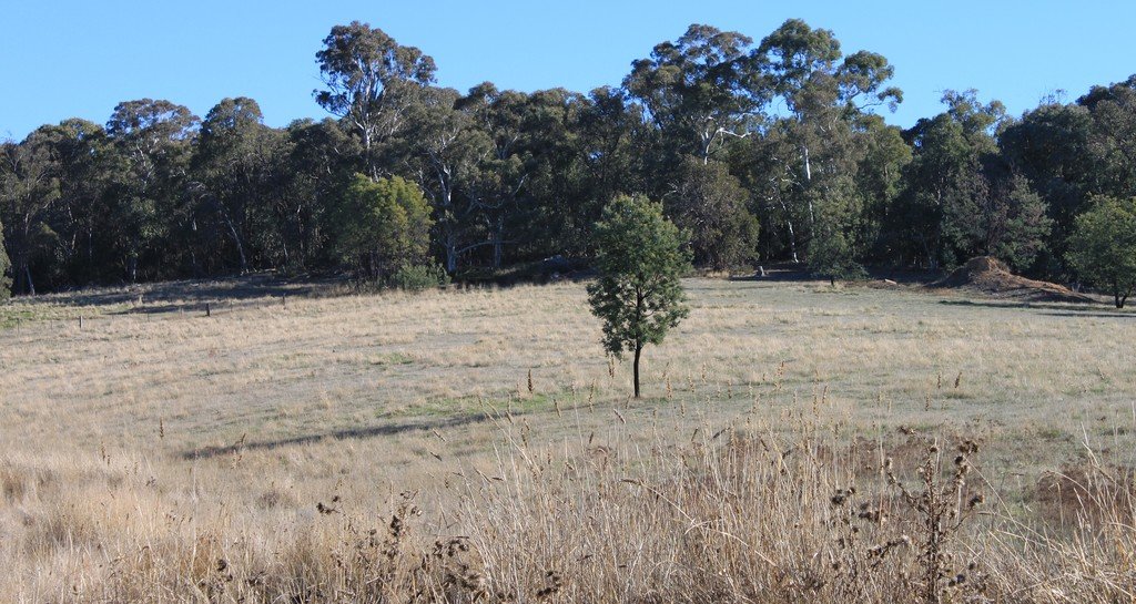 3966 Jingellic Road TUMBARUMBA 4