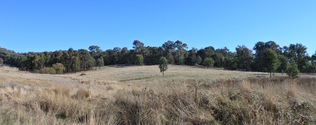 3966 Jingellic Road TUMBARUMBA 5