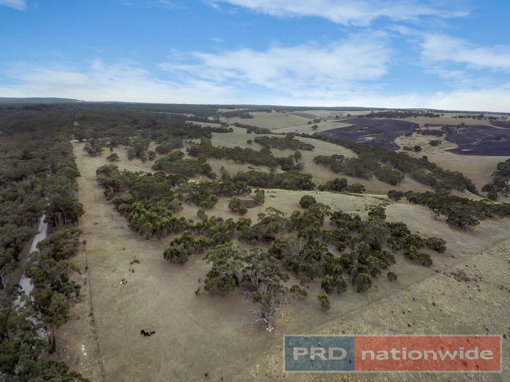 397 Browns Road DEREEL 1