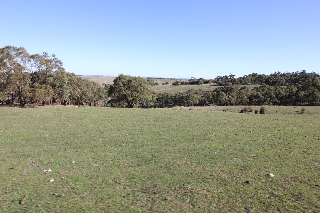 397 Browns Road DEREEL 2