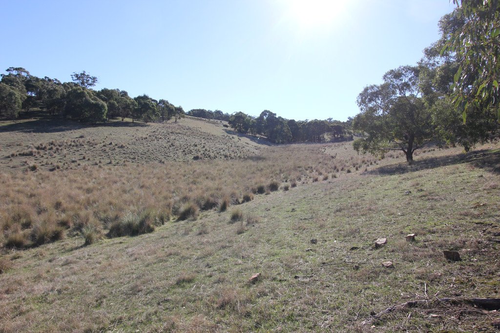 397 Browns Road DEREEL 4