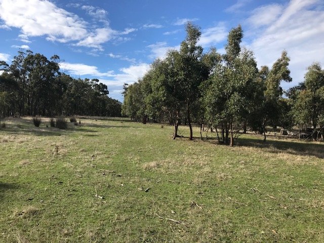 397 Browns Road DEREEL 6