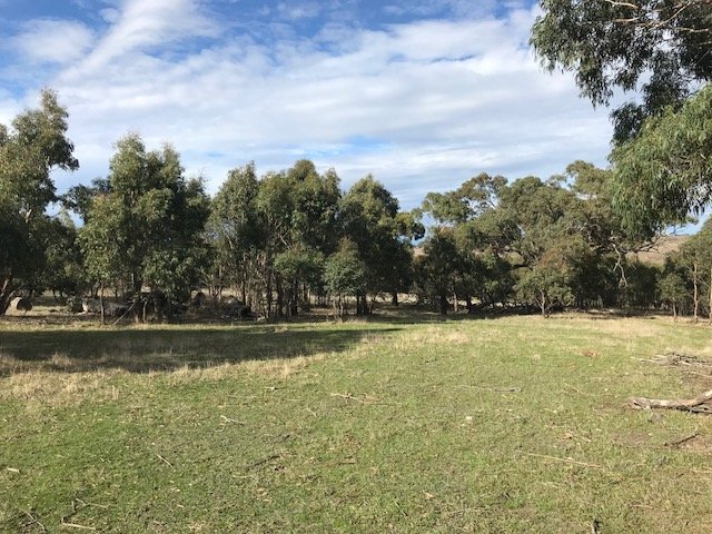397 Browns Road DEREEL 7