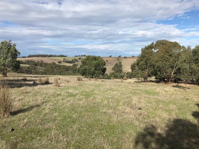 397 Browns Road DEREEL 8