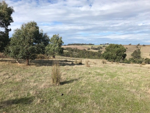 397 Browns Road DEREEL 9