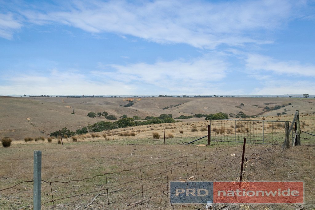 397 Browns Road DEREEL 11