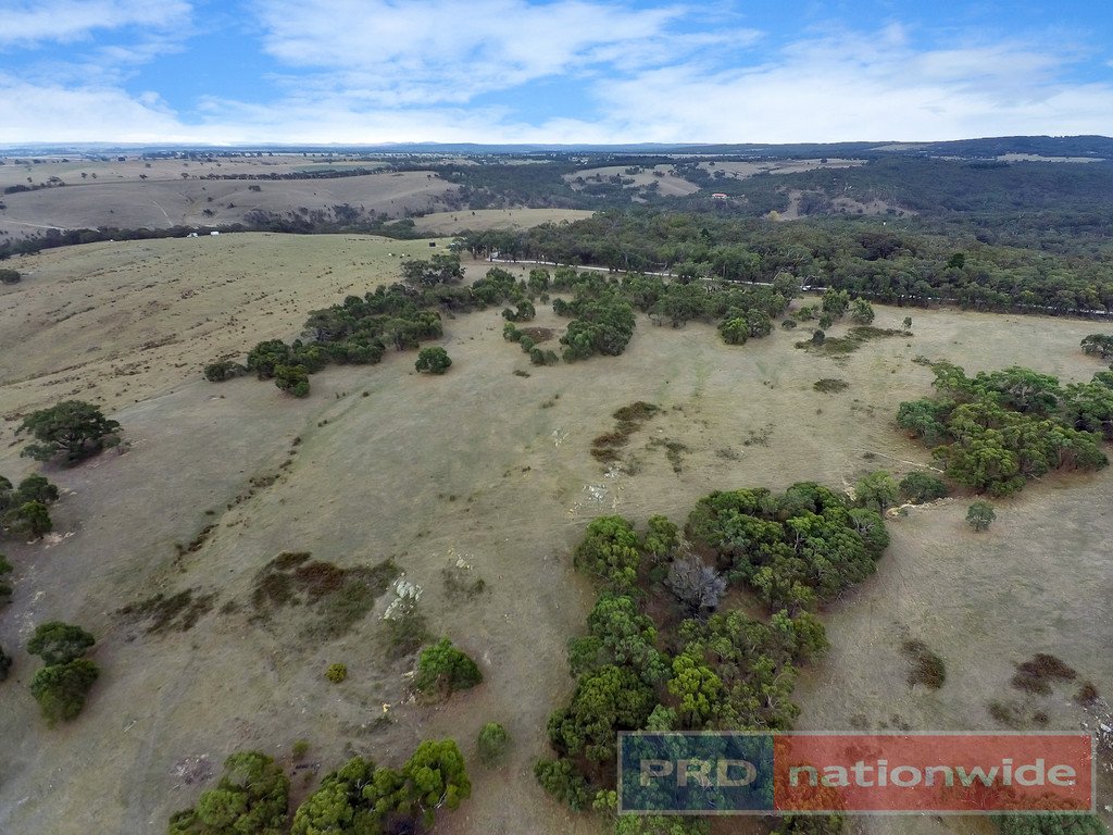 397 Browns Road DEREEL 12