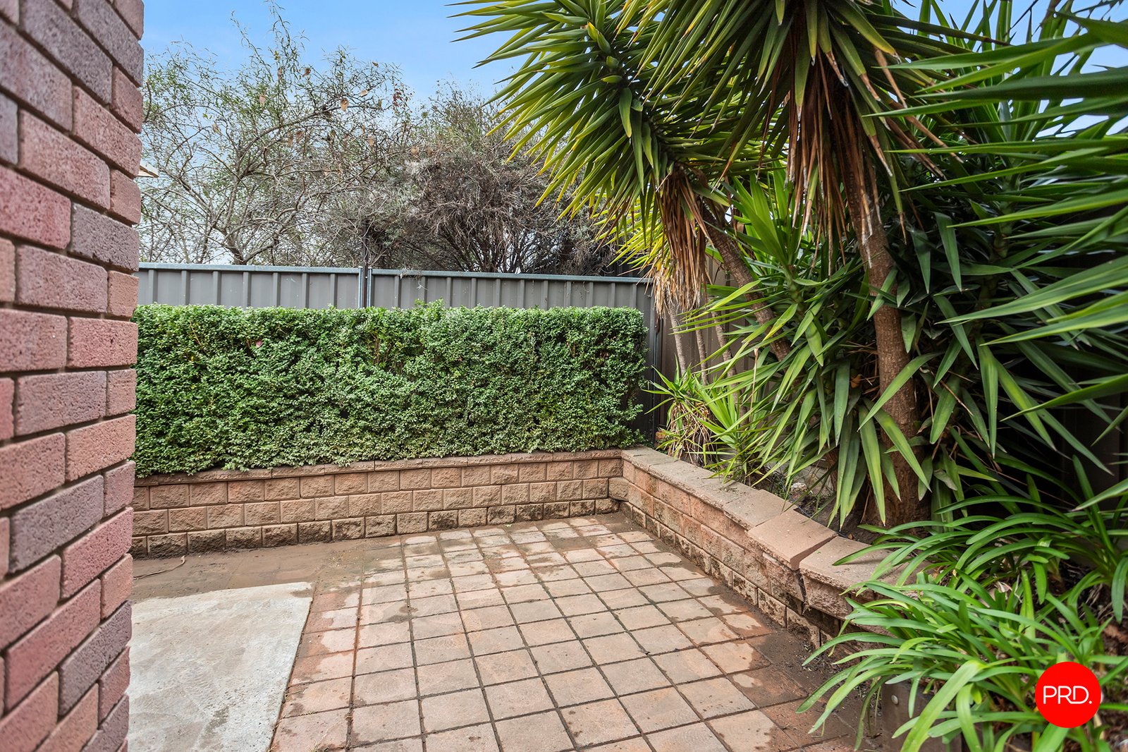 3/97D Panton Street GOLDEN SQUARE 13