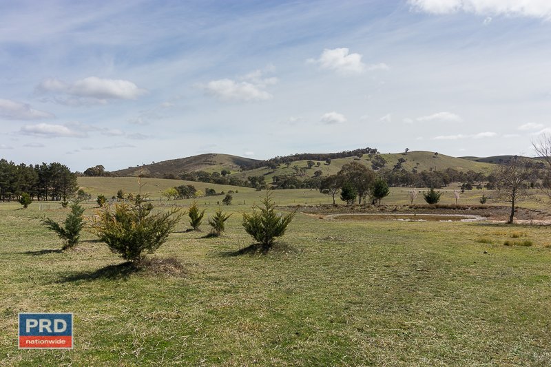 399 Norton Road WAMBOIN 26