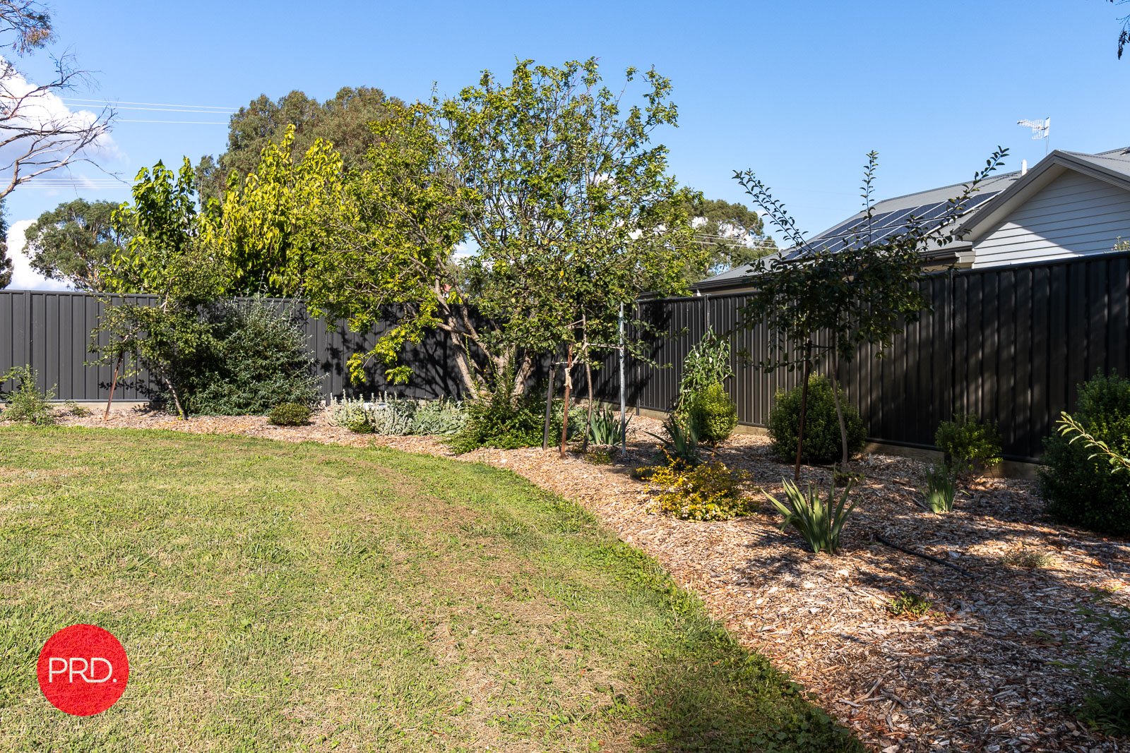 39A Rutledge Street BUNGENDORE 11