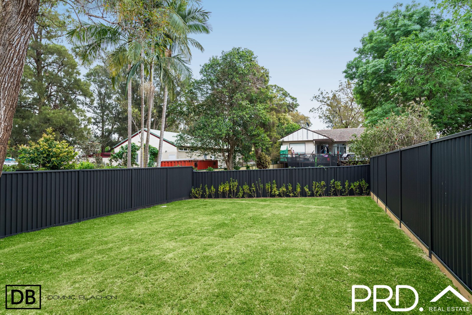 39b Monie Avenue EAST HILLS 14