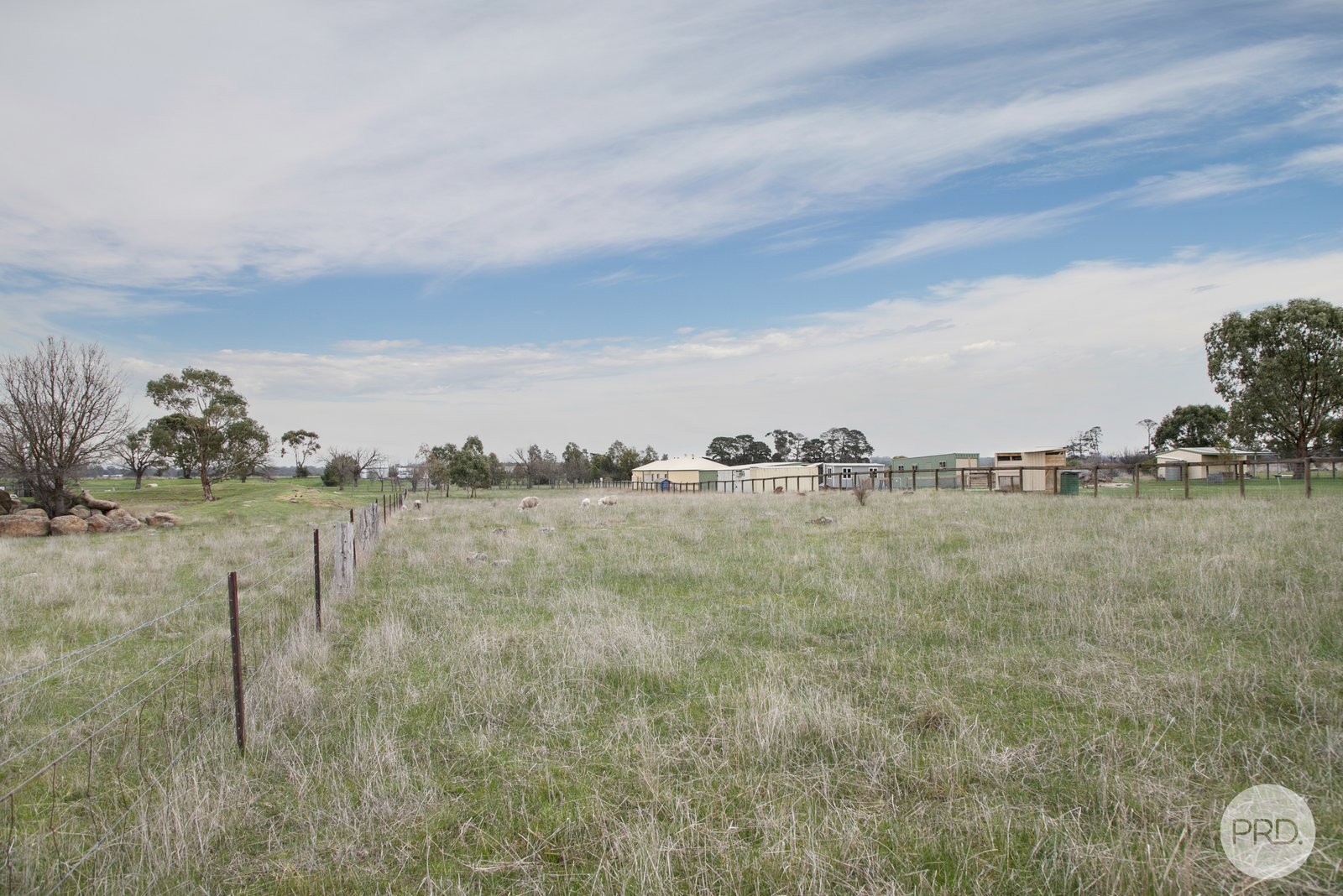 3A Angus Street CLUNES 5
