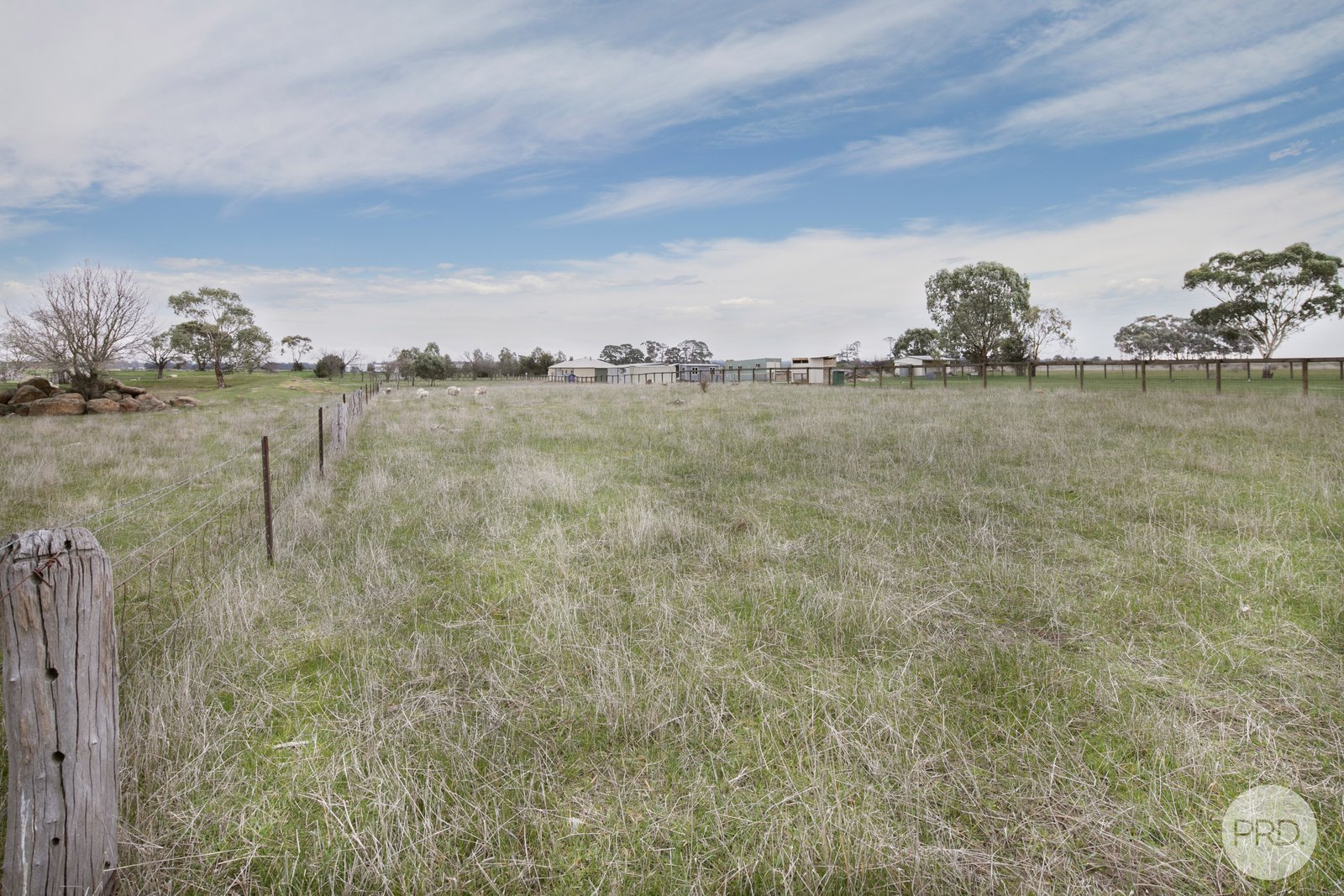 3A Angus Street CLUNES 7