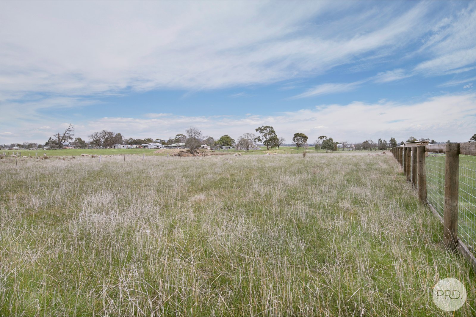 3A Angus Street CLUNES 9