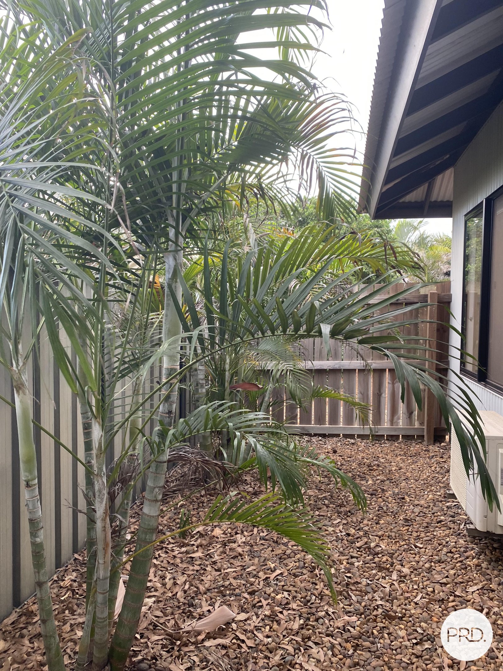 3A Larja Link CABLE BEACH 10