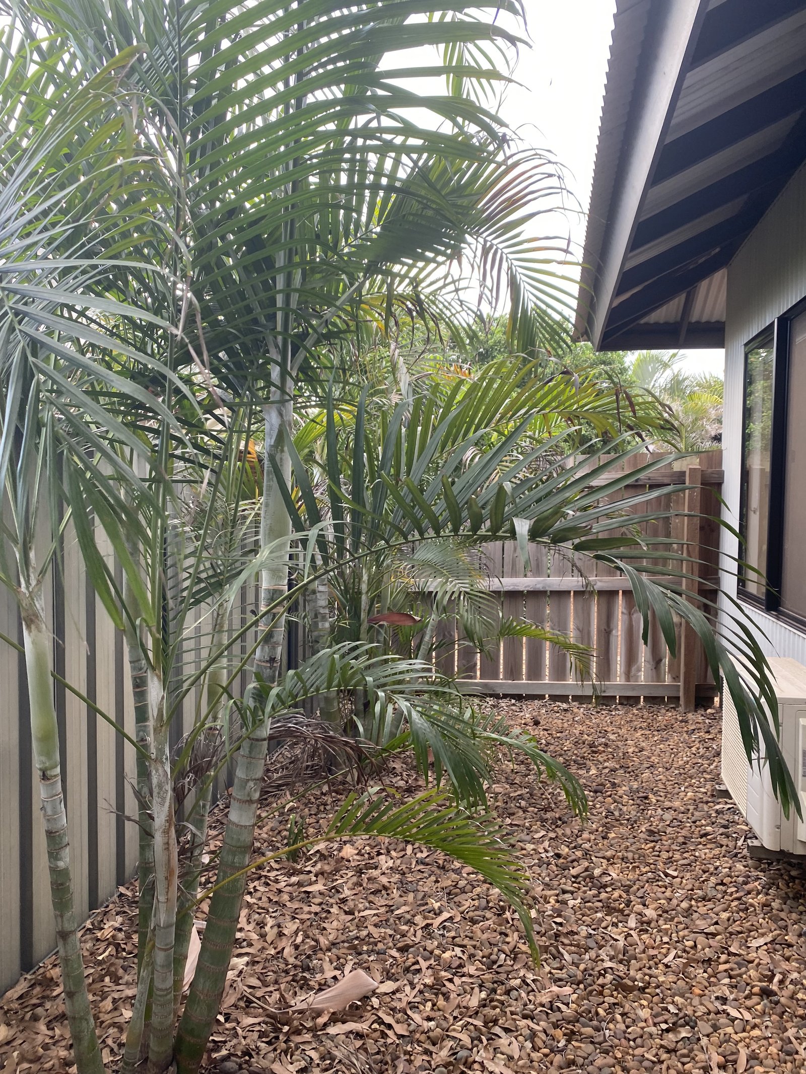 3A Larja Link CABLE BEACH 10