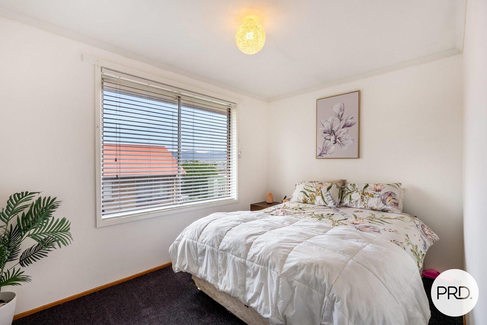 3A Thistle Street GAGEBROOK 26