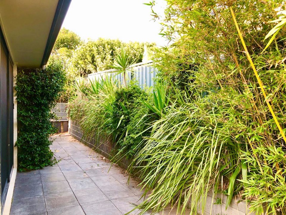 3b Shelby Close ANNA BAY 13