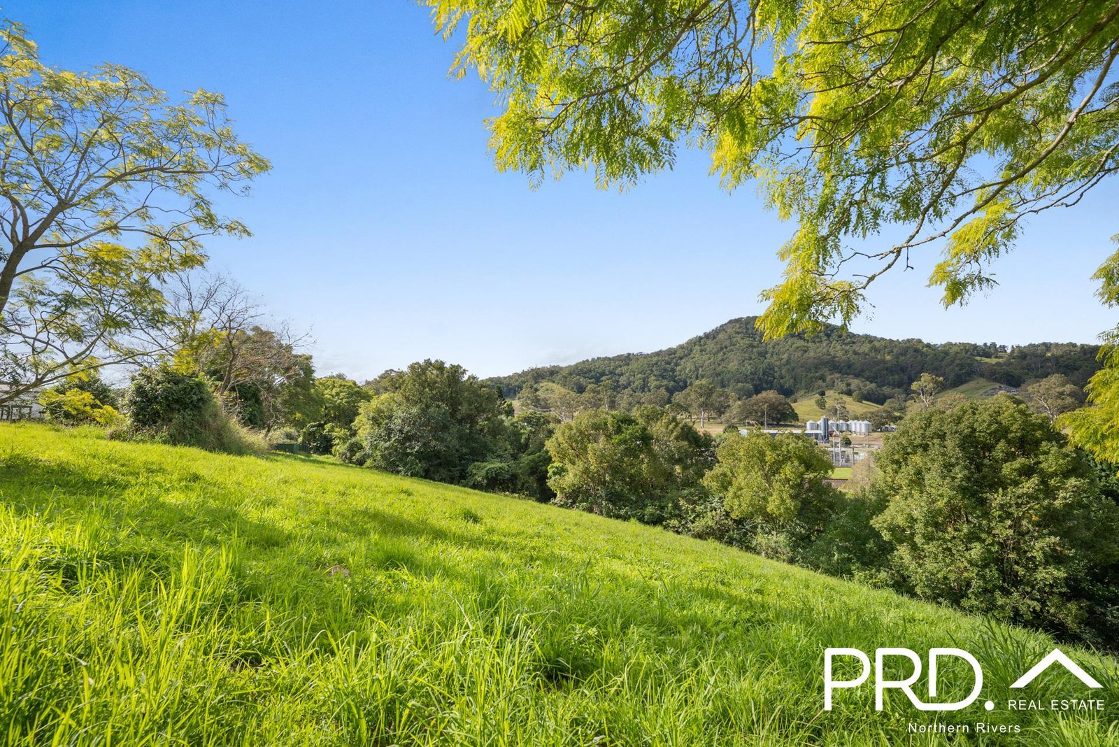 4-6 Hale Street KYOGLE 5