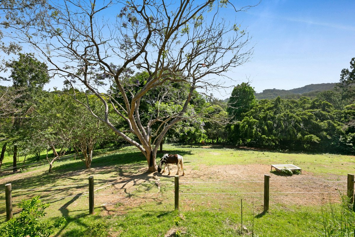 4 Alleena Court Mudgeeraba 2