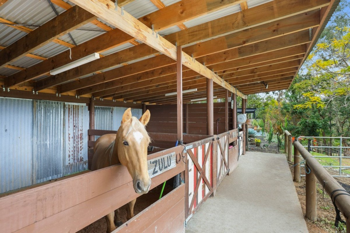 4 Alleena Court Mudgeeraba 5