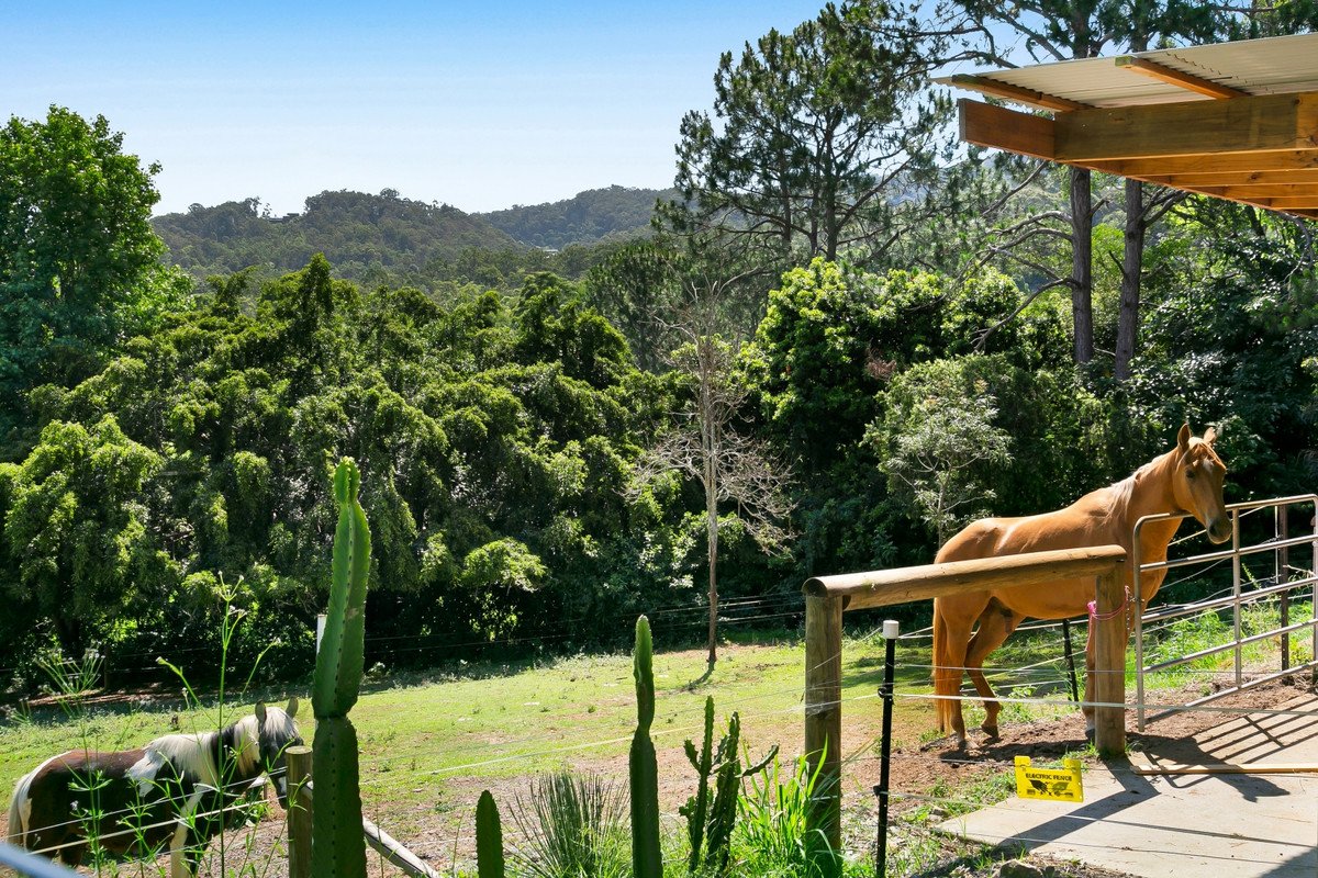 4 Alleena Court Mudgeeraba 29