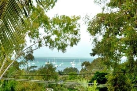 4 Balaka Street CANNONVALE 1