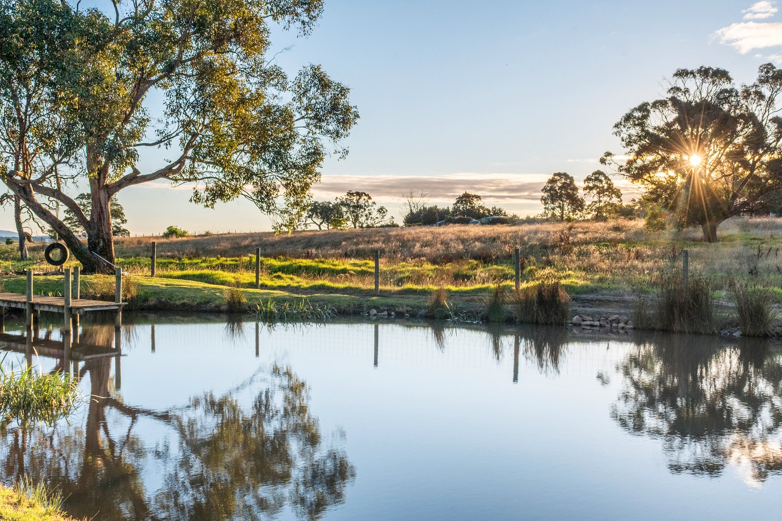 Gallery: 4 Ballochmyle Lane