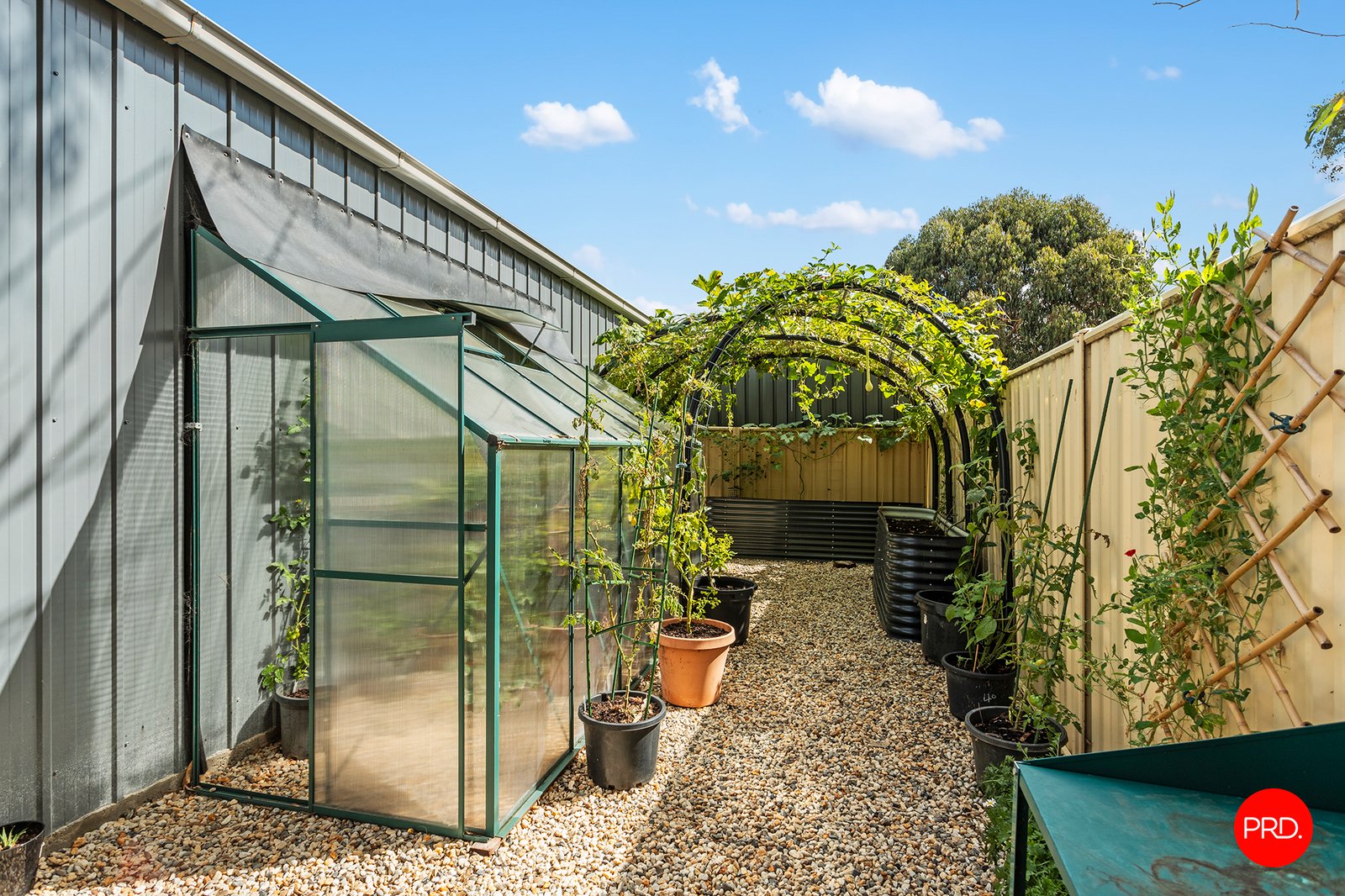 4 Bassett Drive STRATHFIELDSAYE 20