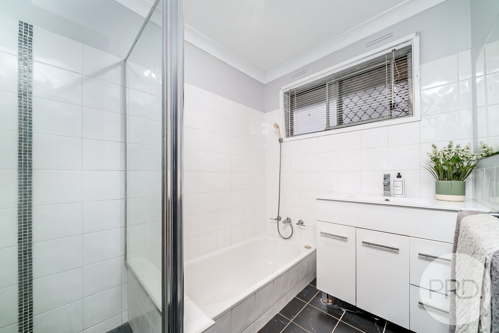 4 Binda Place ASHMONT 11