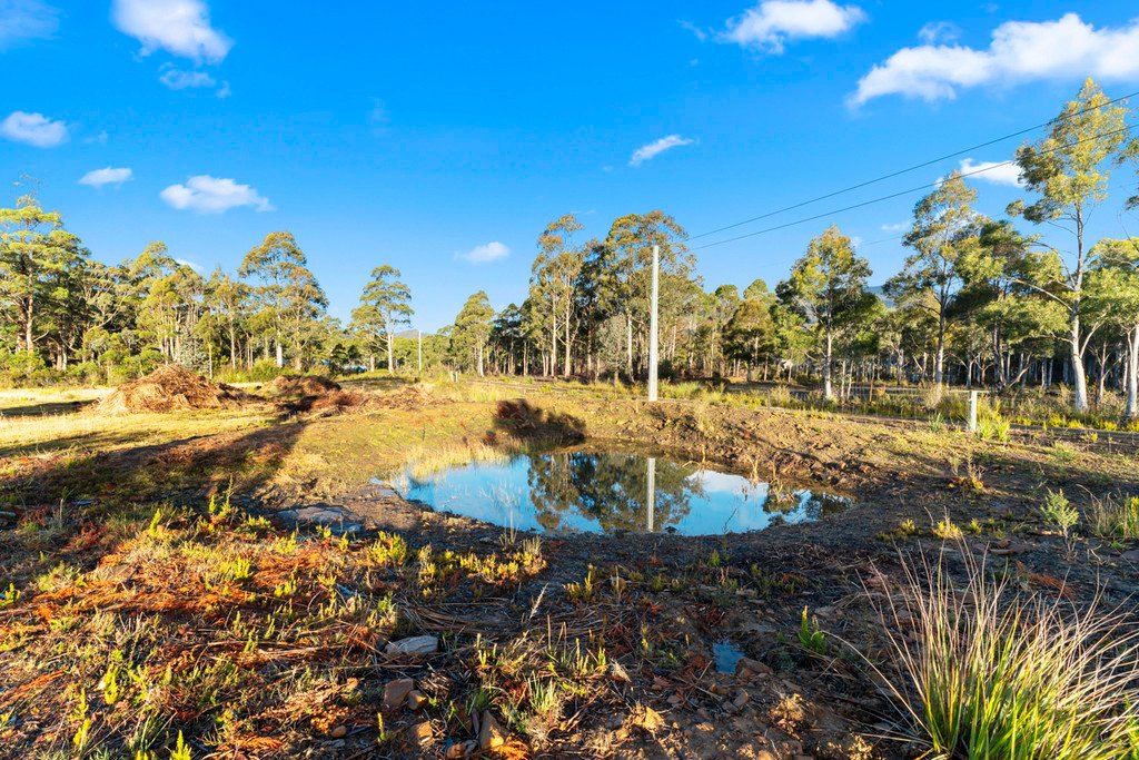 4 Bismarck Court COLLINSVALE 24