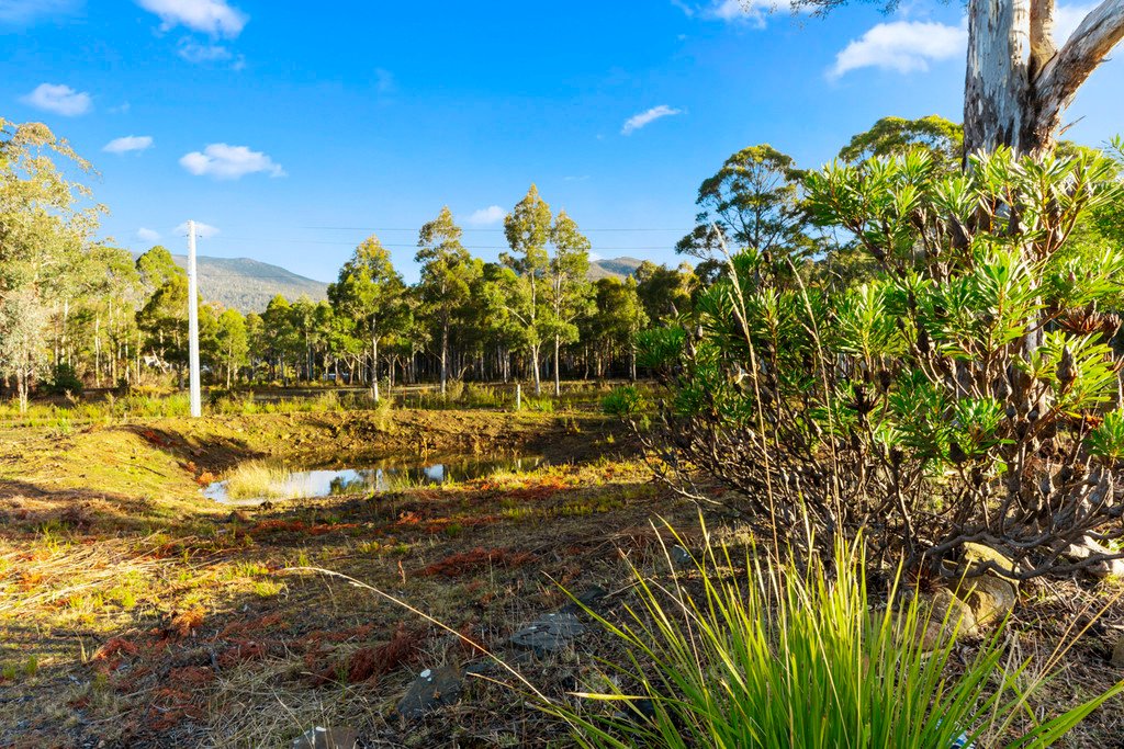 4 Bismarck Court COLLINSVALE 25