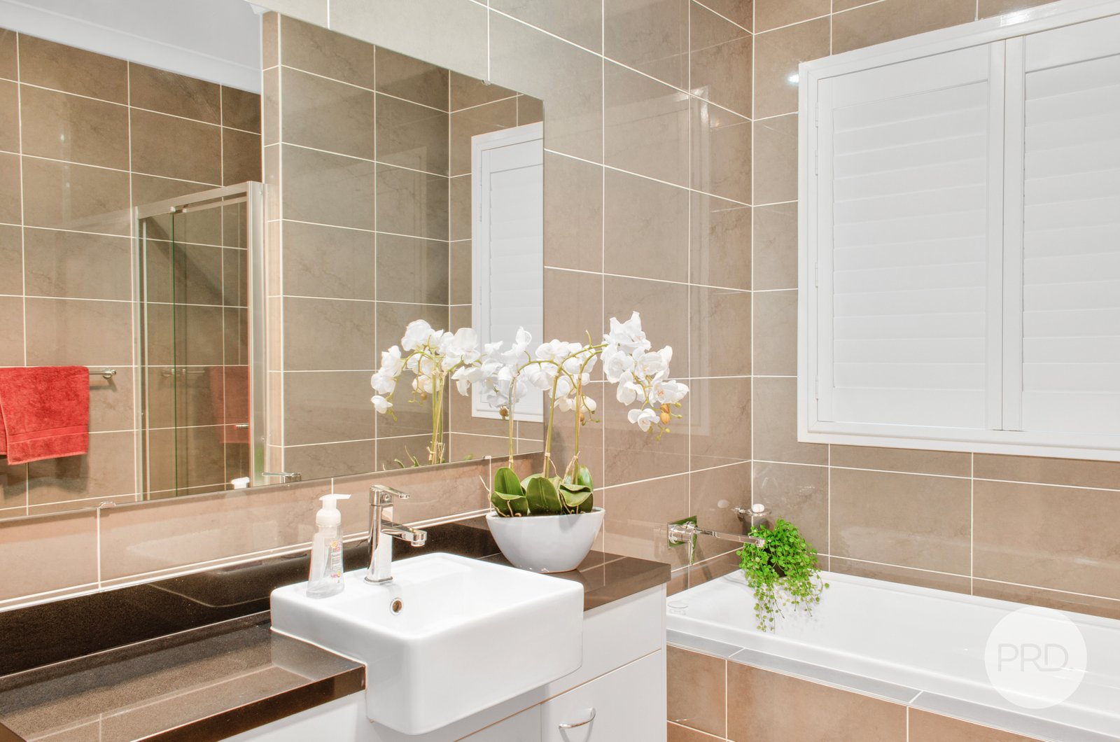 4 blue Street MINTO 6