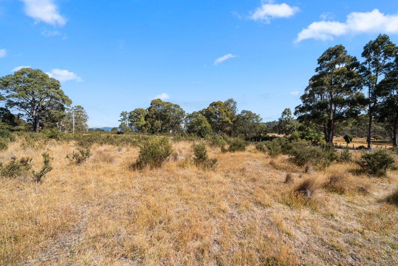 4 Bronte Park Estate Road BRONTE PARK 12