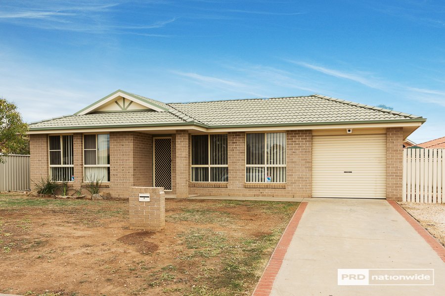 4 Burdekin Place TAMWORTH 1