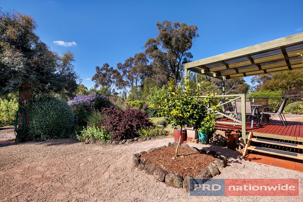 4 Carter Street BROOMFIELD 14