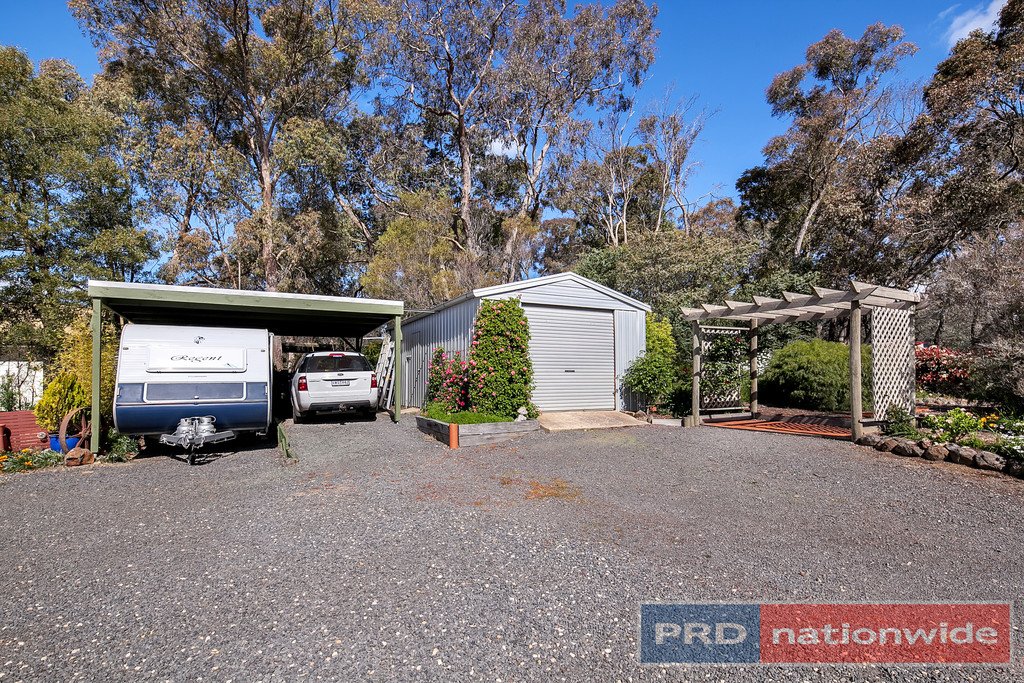 4 Carter Street BROOMFIELD 16