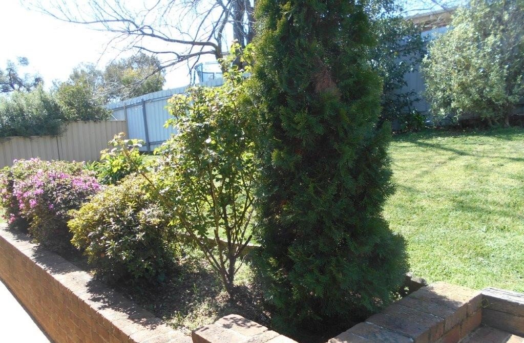 4 Coolamine Circuit TUMUT 13