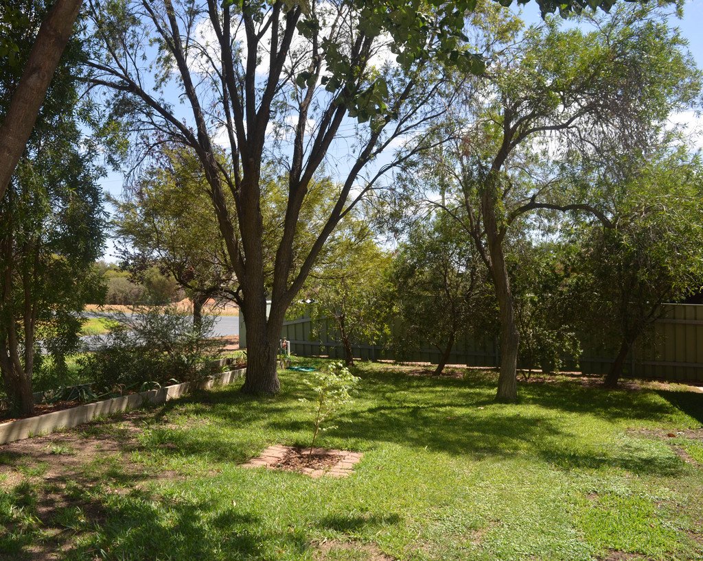 4 Cox Avenue FOREST HILL 2