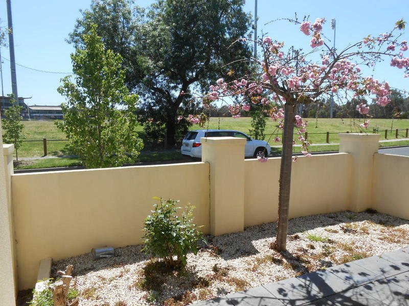 Gallery: 4 Doonga Avenue