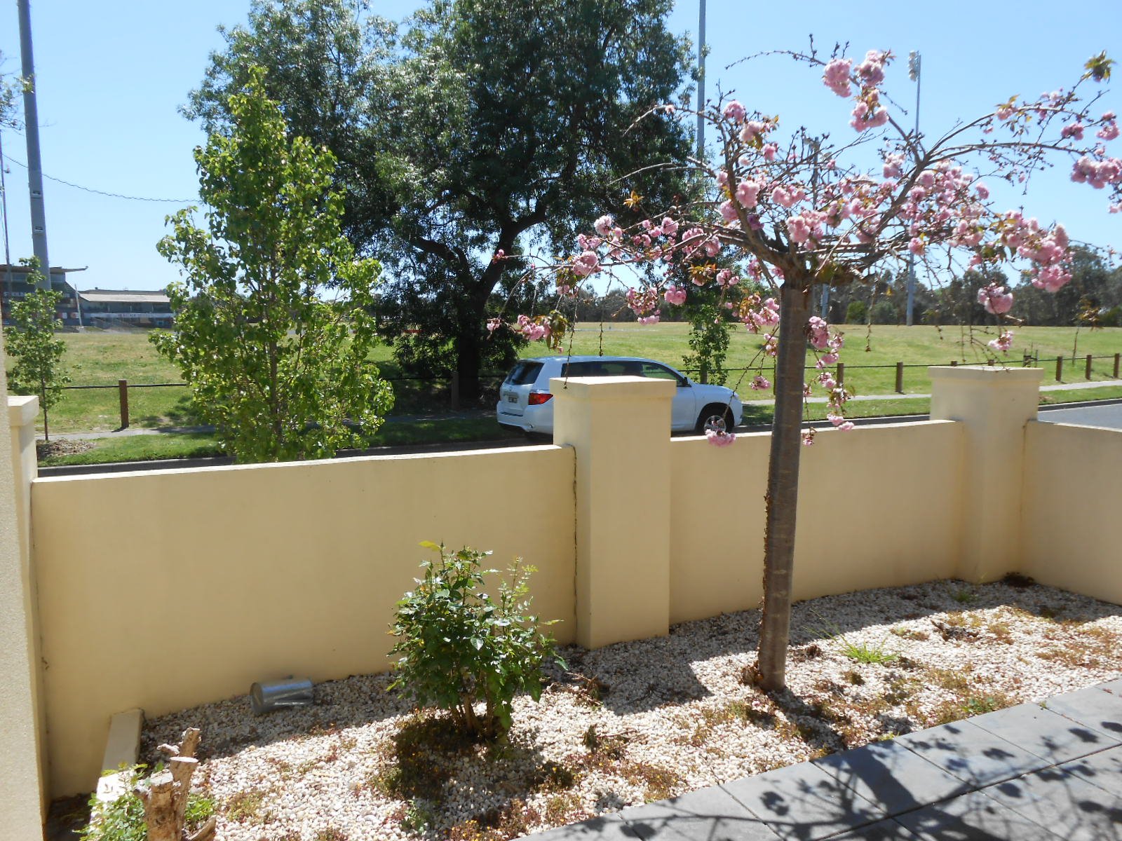 Gallery: 4 Doonga Avenue