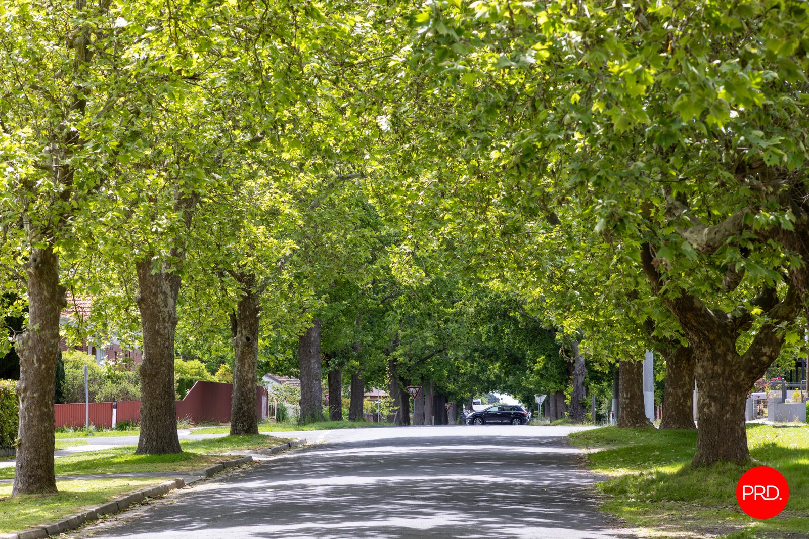 4 Ebden Street KYNETON 24
