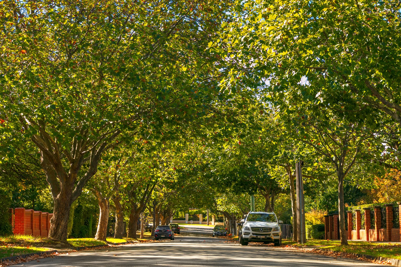 Real Estate and Property in 4 Fairview Grove, Glen Iris, VIC