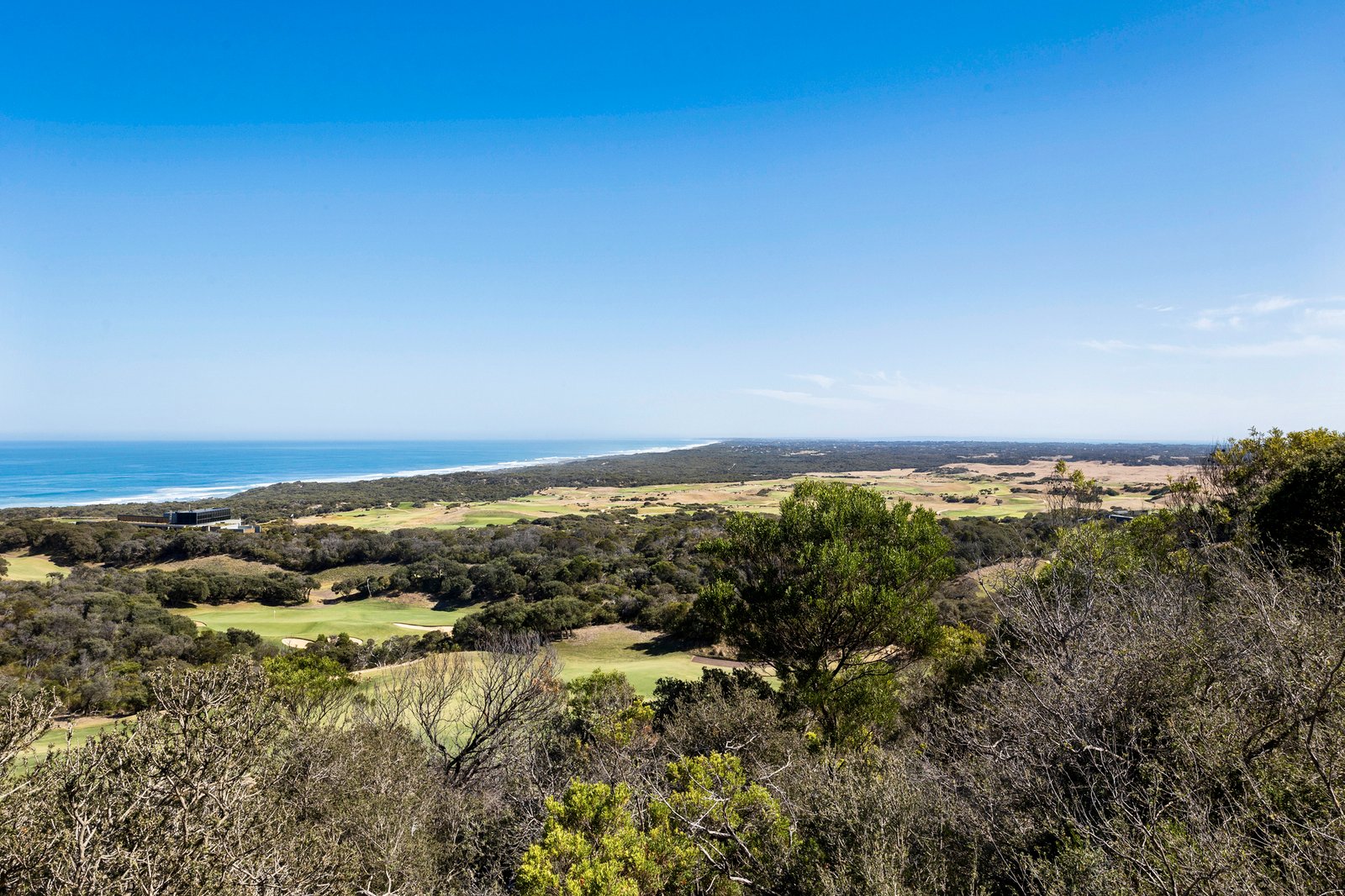 Gallery: 4 Fingal Court